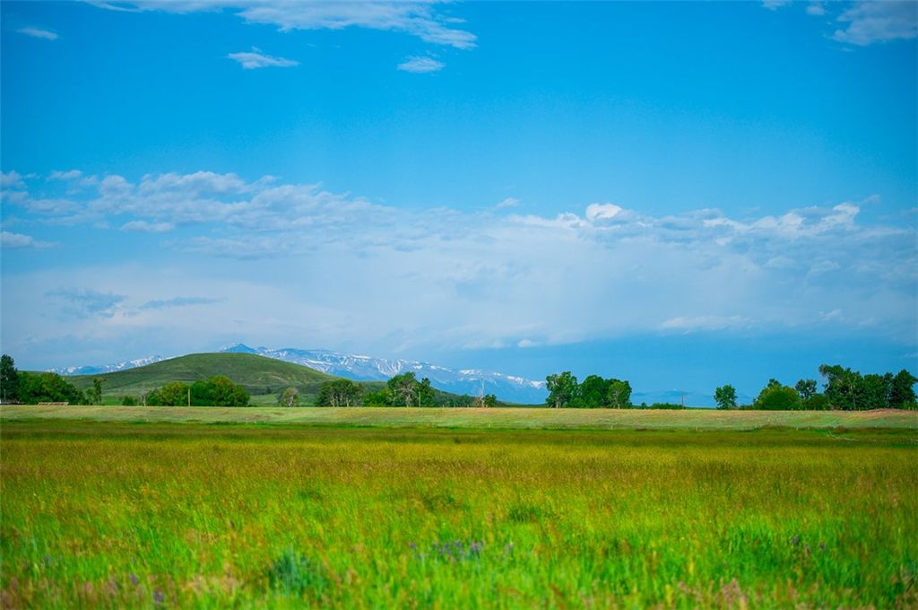 120 Cooney Rd, Roberts, MT 59070 photo 6