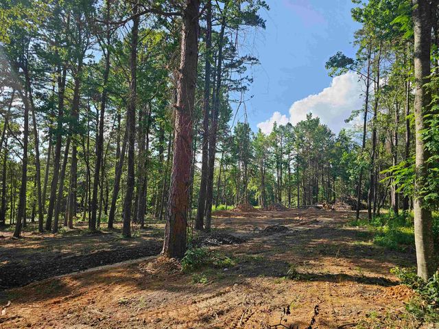 6 Chester Road, Perryville, AR 72126