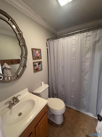 298 Golfview Drive NE, Arab, AL 35016