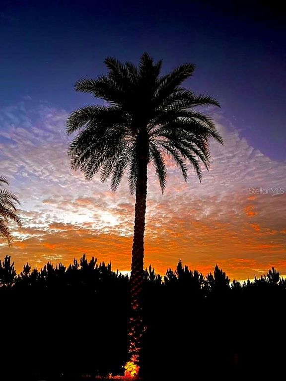 Image 36 of property listing at 146 JACK NICKLAUS LANE, Davenport, FL 33837