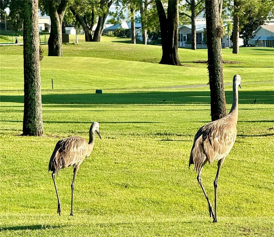 Image 38 of property listing at 146 JACK NICKLAUS LANE, Davenport, FL 33837