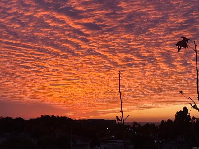 1205 Calle Seabass 46, San Diego, CA 92154