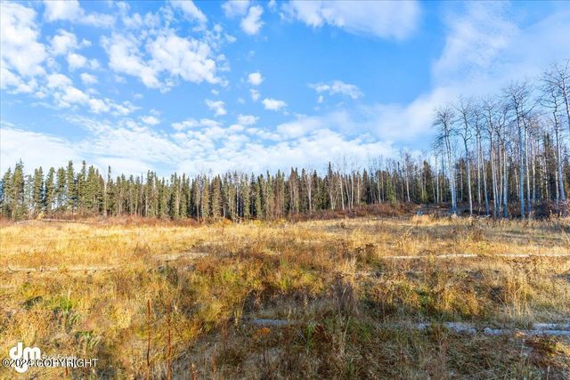 11695 S Burma Road, Wasilla, AK 99654