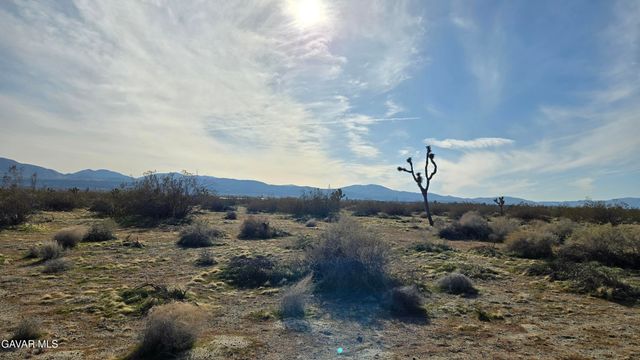 115th St East South Of Ave S, Littlerock, CA 93543