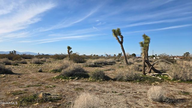 115th St East South Of Ave S, Littlerock, CA 93543