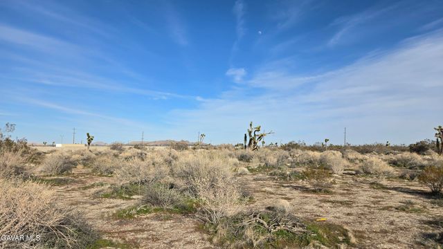 115th St East South Of Ave S, Littlerock, CA 93543