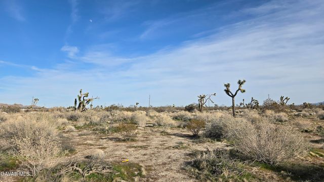 115th St East South Of Ave S, Littlerock, CA 93543