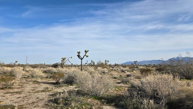 115th St East South Of Ave S, Littlerock, CA 93543