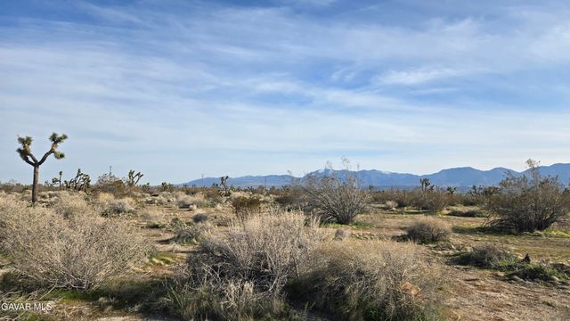 115th St East South Of Ave S, Littlerock, CA 93543