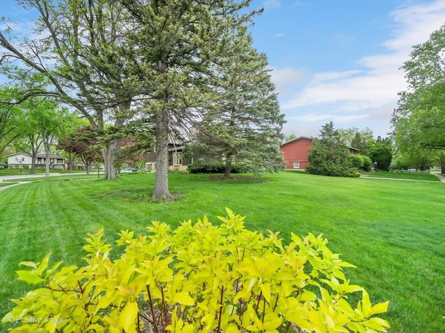 6955 PARKVIEW Drive, Downers Grove, IL 60516