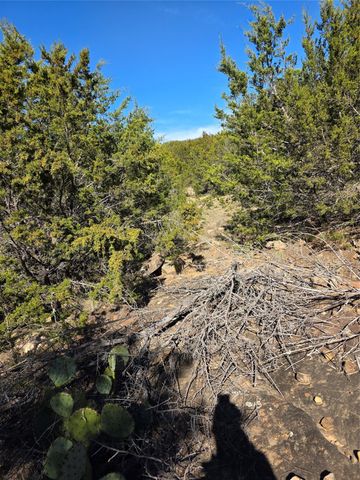 242.442 ACRES Mc clure Ranch Road, Gordon, TX 76453