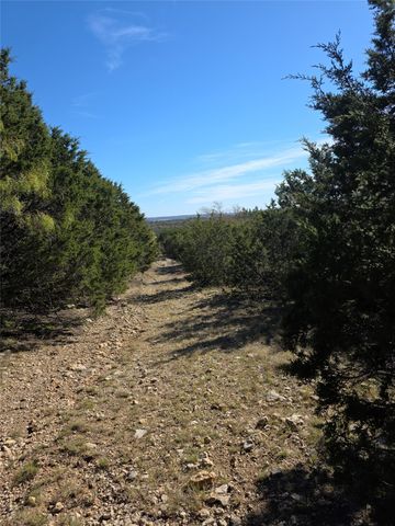 242.442 ACRES Mc clure Ranch Road, Gordon, TX 76453