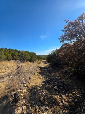 242.442 ACRES Mc clure Ranch Road, Gordon, TX 76453