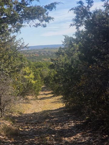 242.442 ACRES Mc clure Ranch Road, Gordon, TX 76453