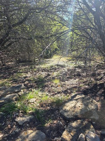 242.442 ACRES Mc clure Ranch Road, Gordon, TX 76453