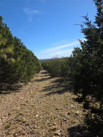 242.442 ACRES Mc clure Ranch Road, Gordon, TX 76453