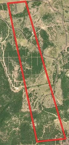 242.442 ACRES Mc clure Ranch Road, Gordon, TX 76453