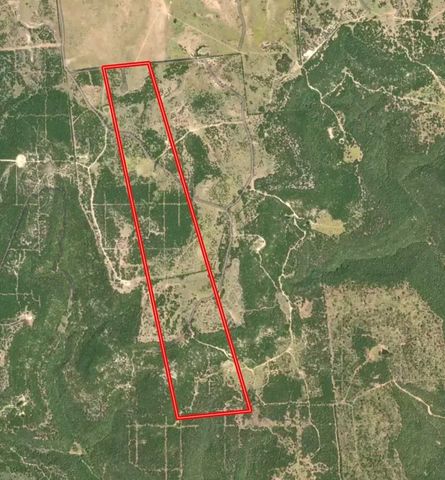 242.442 ACRES Mc clure Ranch Road, Gordon, TX 76453