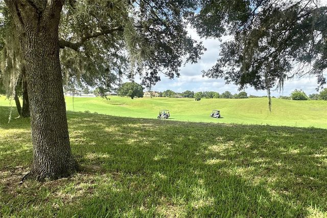 24600 CALUSA BOULEVARD, Eustis, FL 32736