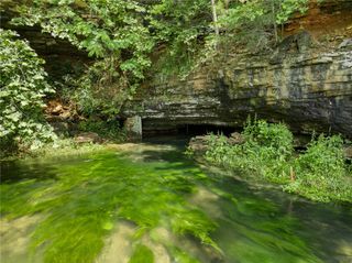 275 Devitos Loop, Harrison, AR 72601