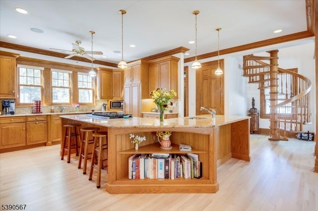 230 Springfield Ave S, Rutherford Boro, NJ 07070