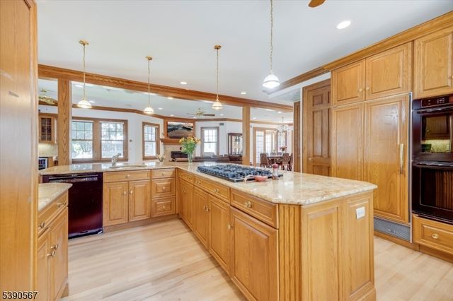 230 Springfield Ave S, Rutherford Boro, NJ 07070
