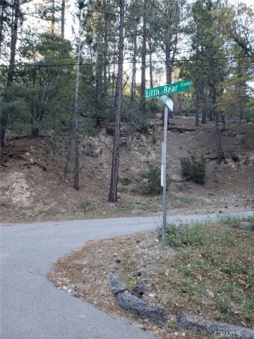 29531 Little Bear Creek, Cedar Glen, CA 92321