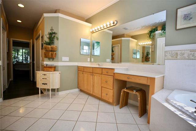 2410 TEA OLIVE TERRACE, Valrico, FL 33594