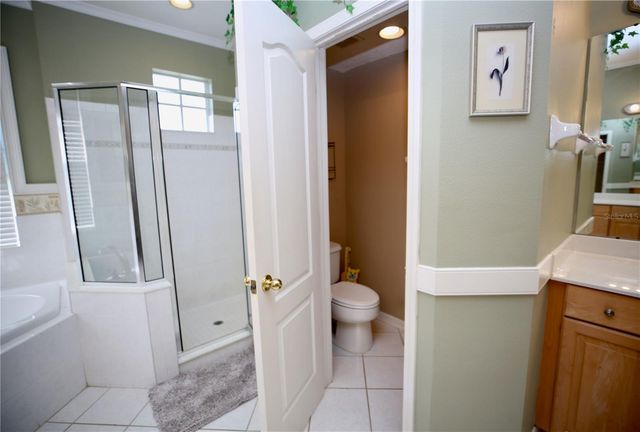 2410 TEA OLIVE TERRACE, Valrico, FL 33594