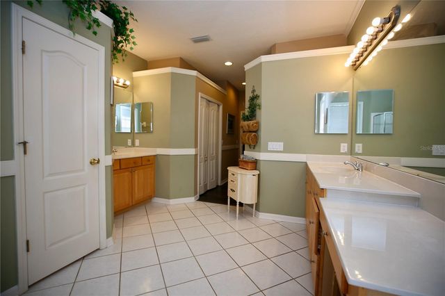2410 TEA OLIVE TERRACE, Valrico, FL 33594