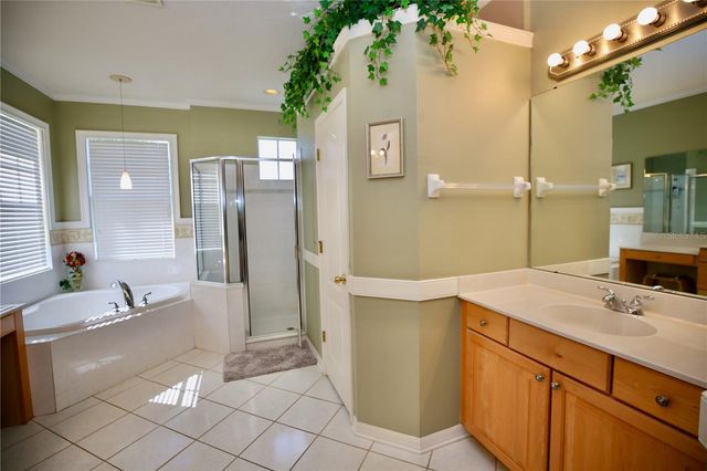 2410 TEA OLIVE TERRACE, Valrico, FL 33594