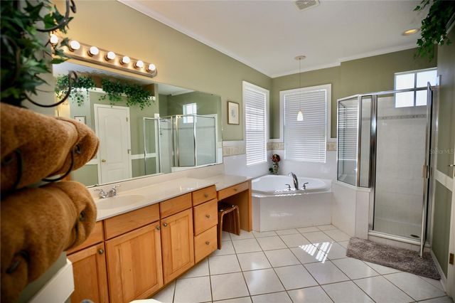 2410 TEA OLIVE TERRACE, Valrico, FL 33594