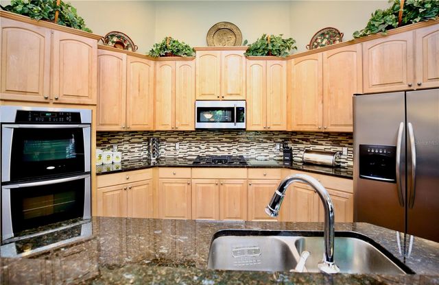 2410 TEA OLIVE TERRACE, Valrico, FL 33594