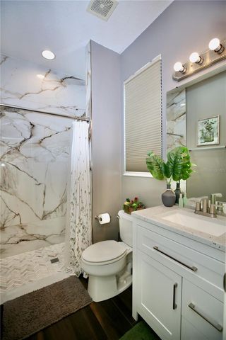2410 TEA OLIVE TERRACE, Valrico, FL 33594