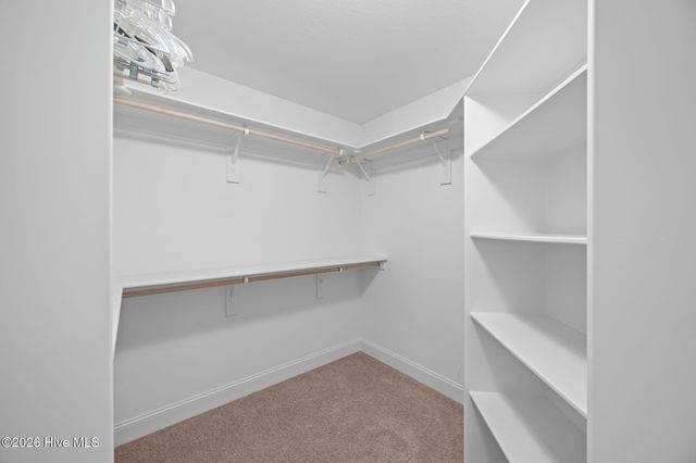 2019 Leighton Drive A, Greenville, NC 27834