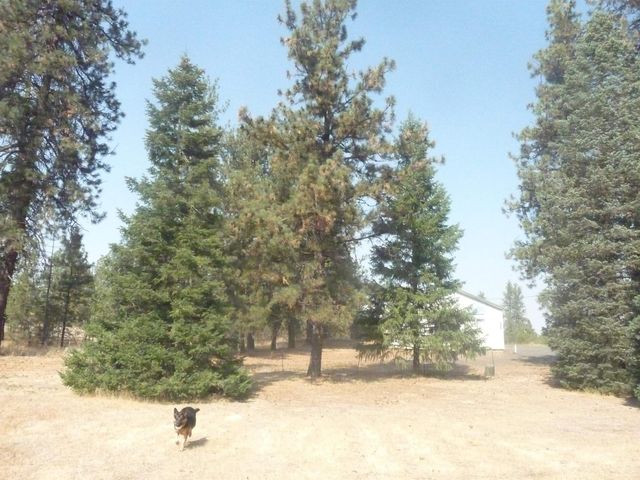 23912 S B St, Cheney, WA 99004