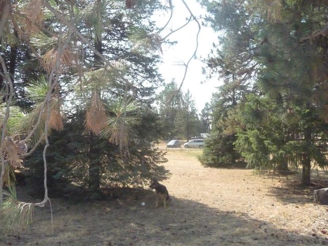 23912 S B St, Cheney, WA 99004
