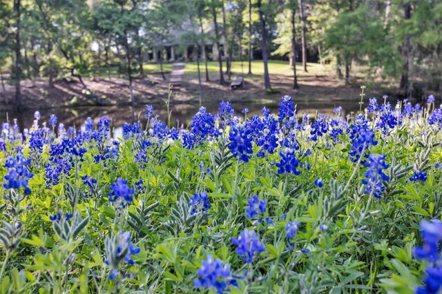 13250 Fm 830 Road, Willis, TX 77318