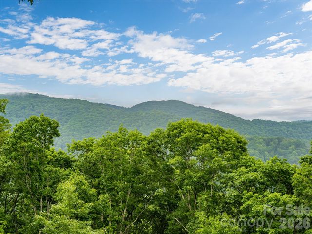243 Pioneer Ridge Road, Canton, NC 28716