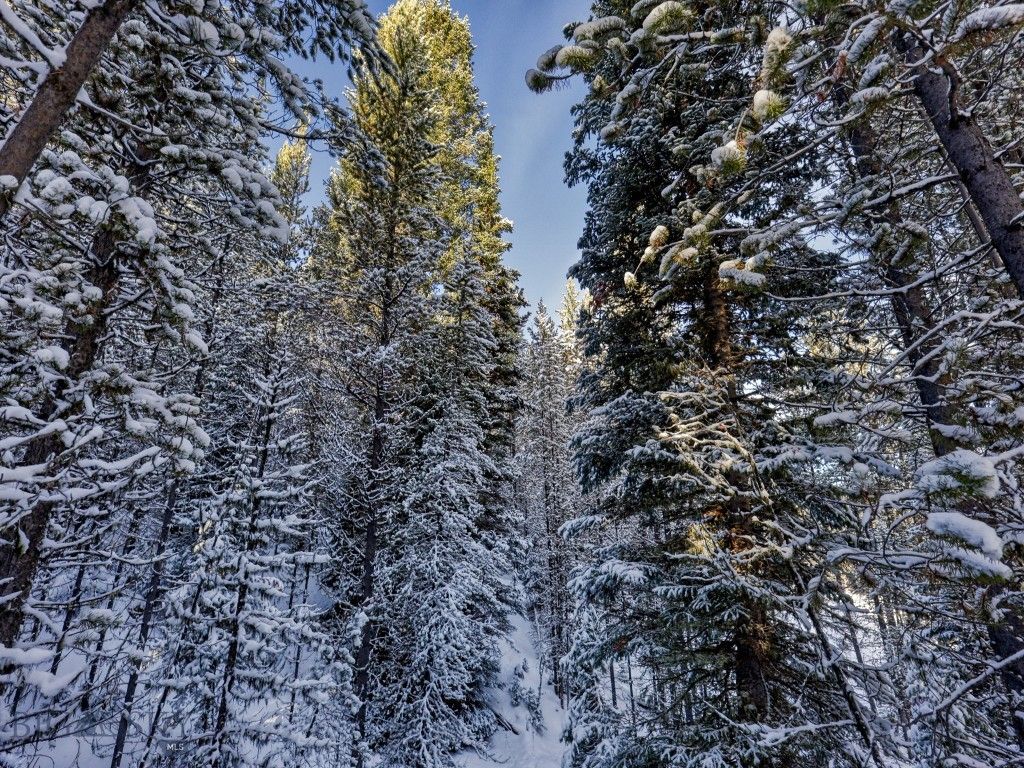 TBD Silverado Trail, Big Sky, MT 59716 photo 9