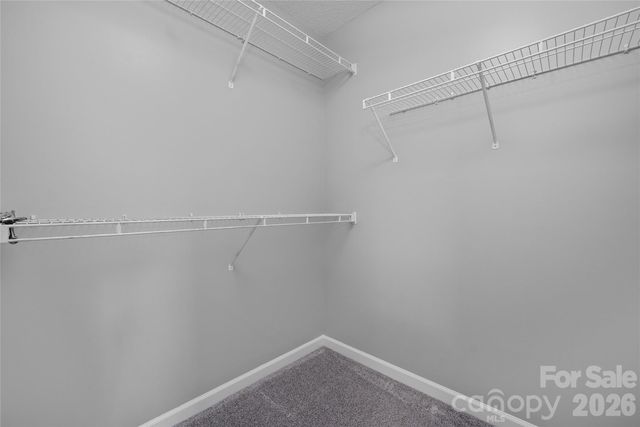9535 Forest Path Drive, Charlotte, NC 28269
