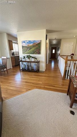 198 Luxury Lane, Colorado Springs, CO 80921