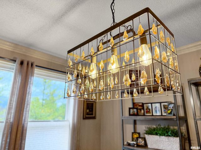 2810 W WILLOWLAKE Drive, Peoria, IL 61614