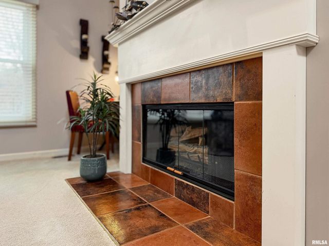 2810 W WILLOWLAKE Drive, Peoria, IL 61614