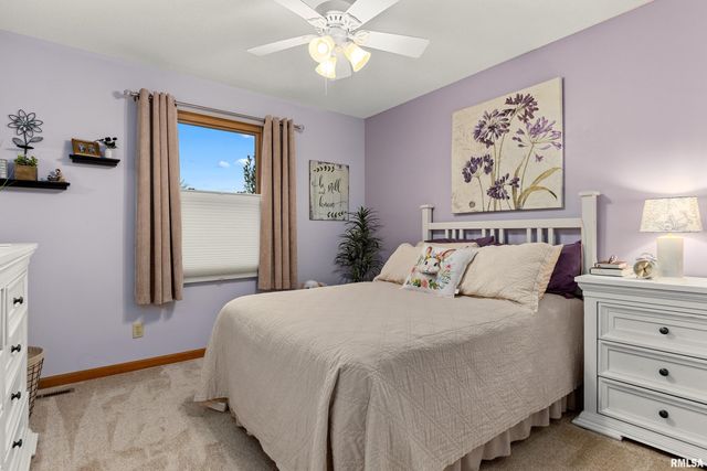 2810 W WILLOWLAKE Drive, Peoria, IL 61614