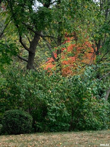 2810 W WILLOWLAKE Drive, Peoria, IL 61614