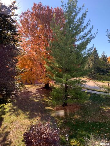 2810 W WILLOWLAKE Drive, Peoria, IL 61614