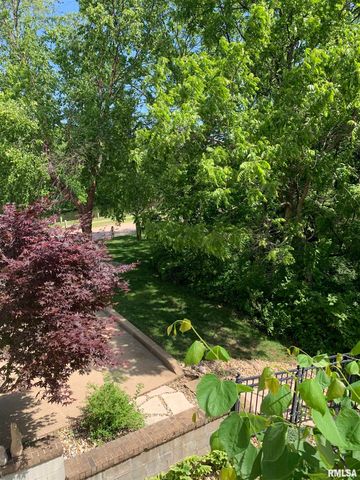 2810 W WILLOWLAKE Drive, Peoria, IL 61614