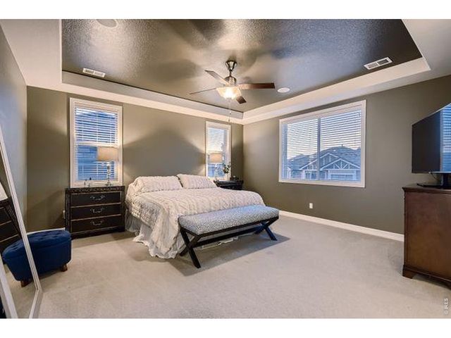 10080 Glenayre Ln, Parker, CO 80134