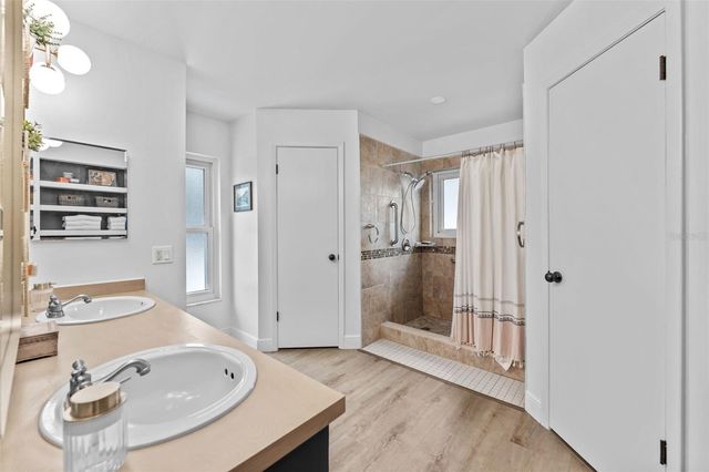 15102 SPRINGVIEW STREET, Tampa, FL 33624